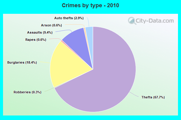 Crimes by type - 2010