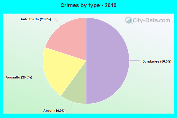 Crimes by type - 2010