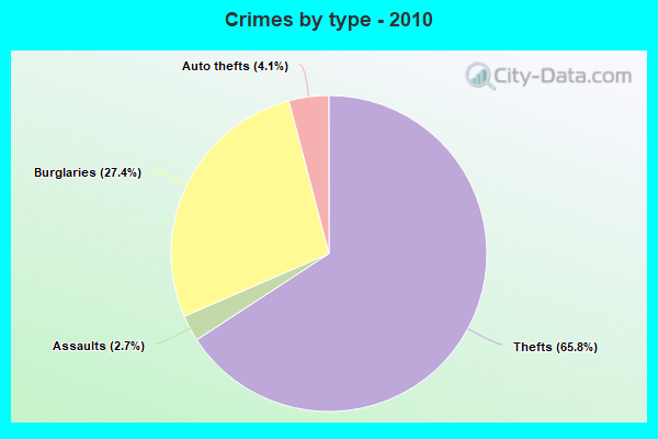 Crimes by type - 2010