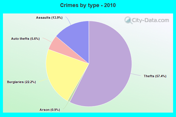 Crimes by type - 2010