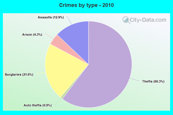 Crimes by type - 2010