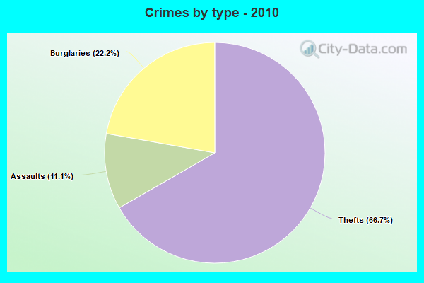 Crimes by type - 2010