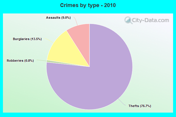 Crimes by type - 2010