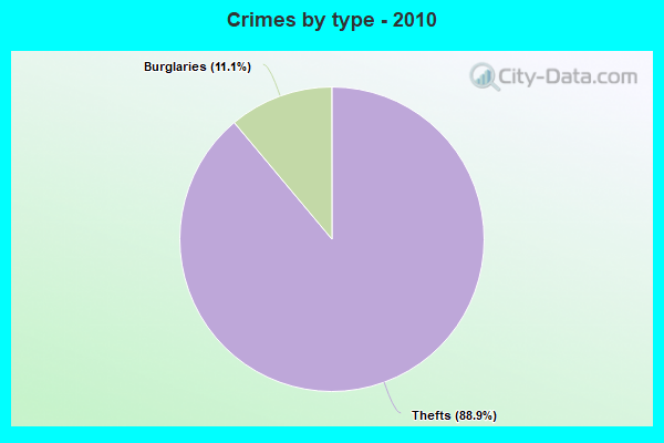 Crimes by type - 2010