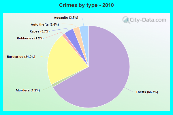 Crimes by type - 2010