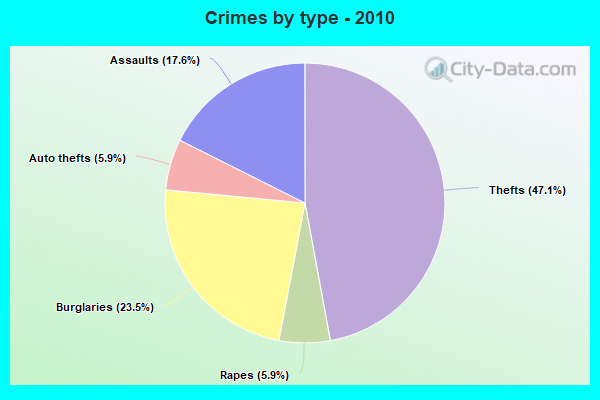 Crimes by type - 2010