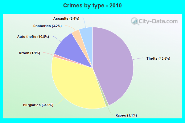 Crimes by type - 2010