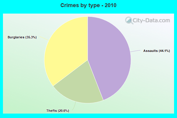 Crimes by type - 2010