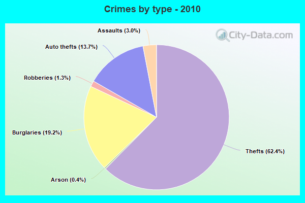 Crimes by type - 2010