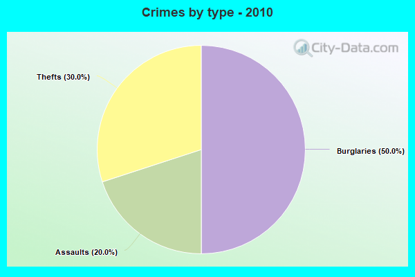 Crimes by type - 2010