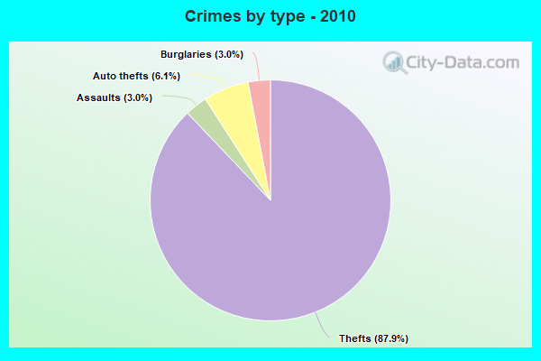 Crimes by type - 2010