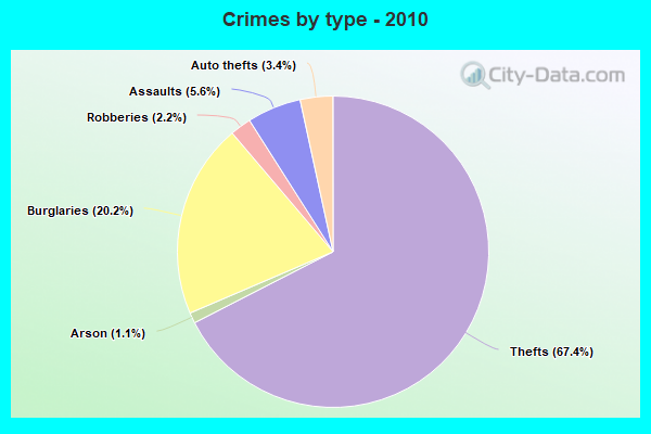 Crimes by type - 2010