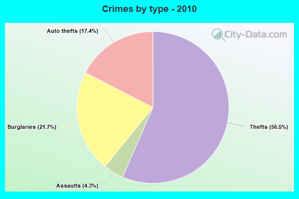 Crimes by type - 2010