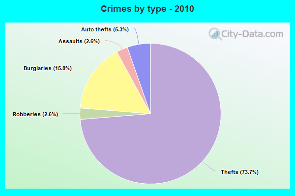 Crimes by type - 2010