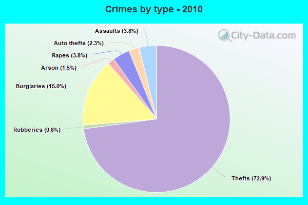 Crimes by type - 2010