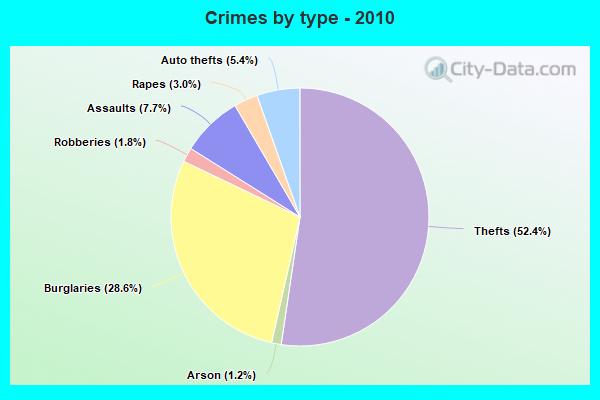 Crimes by type - 2010