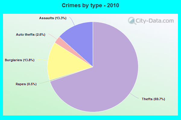 Crimes by type - 2010