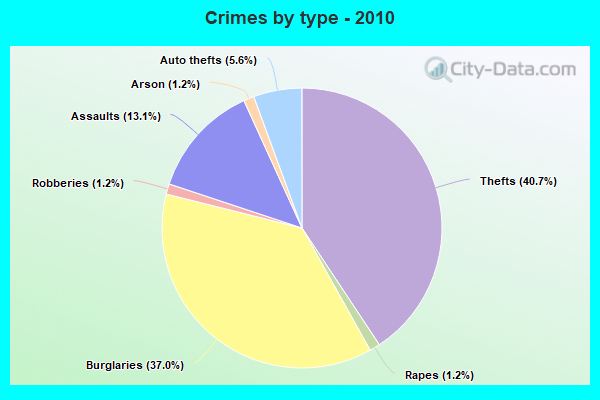 Crimes by type - 2010