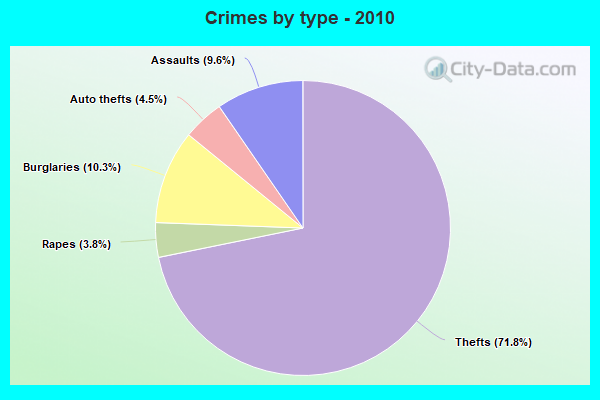 Crimes by type - 2010