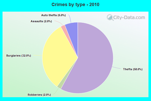 Crimes by type - 2010