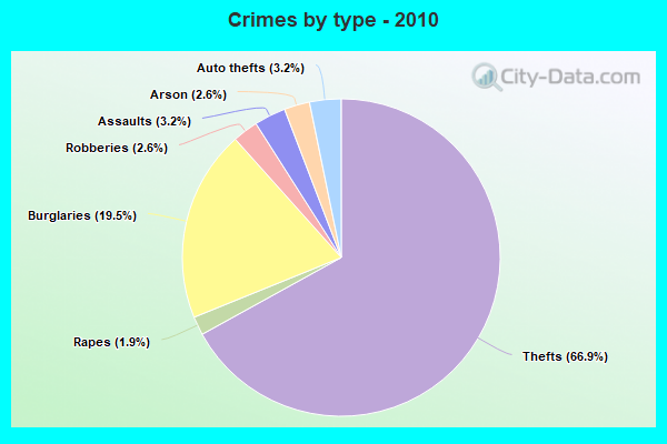 Crimes by type - 2010