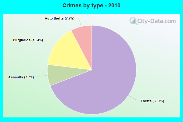 Crimes by type - 2010