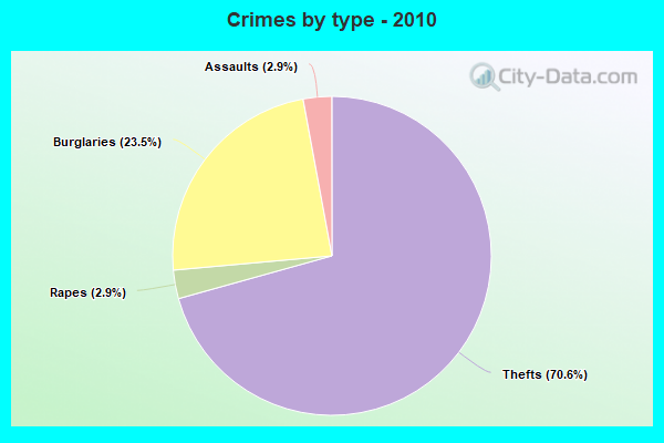 Crimes by type - 2010