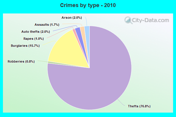 Crimes by type - 2010