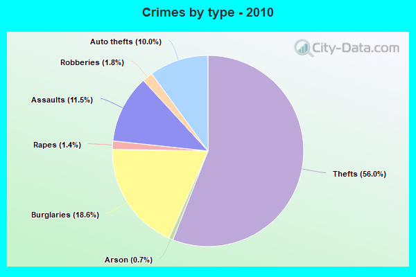 Crimes by type - 2010