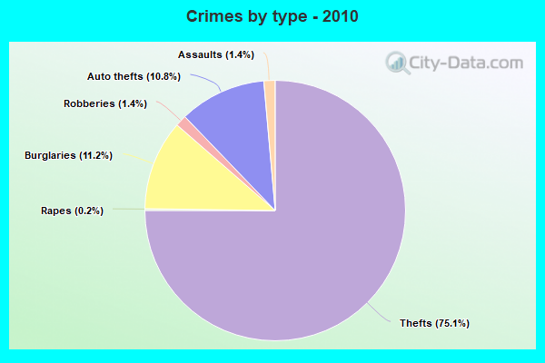 Crimes by type - 2010