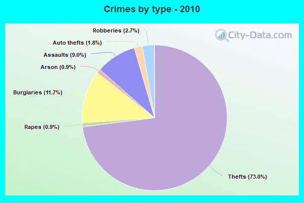 Crimes by type - 2010