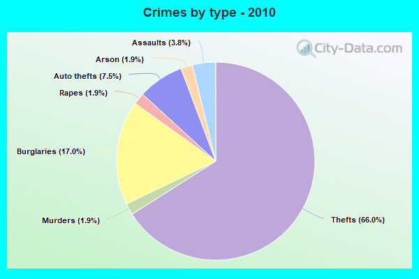 Crimes by type - 2010