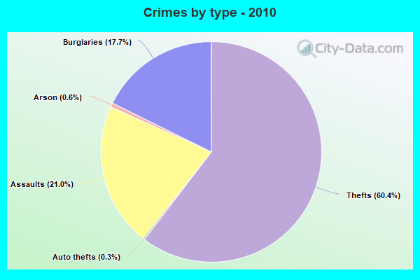 Crimes by type - 2010