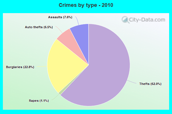 Crimes by type - 2010