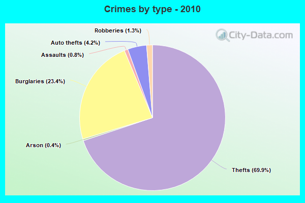 Crimes by type - 2010