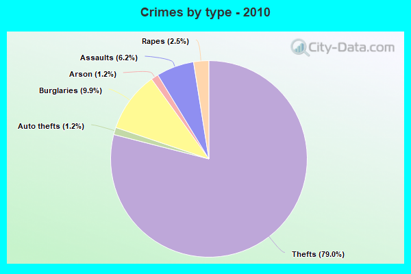 Crimes by type - 2010