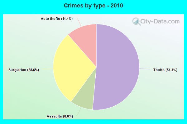 Crimes by type - 2010