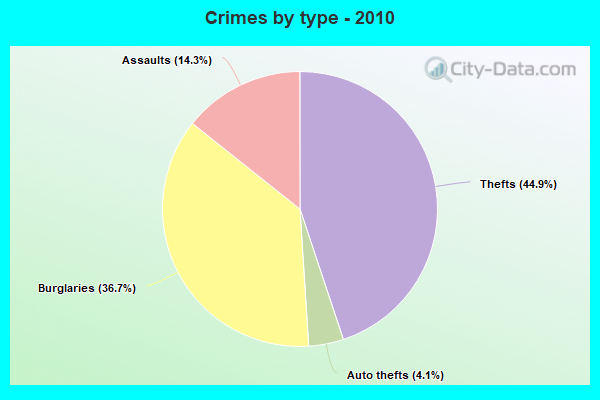 Crimes by type - 2010