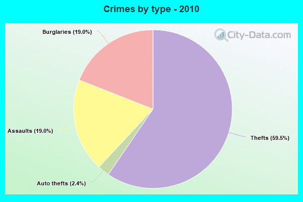 Crimes by type - 2010