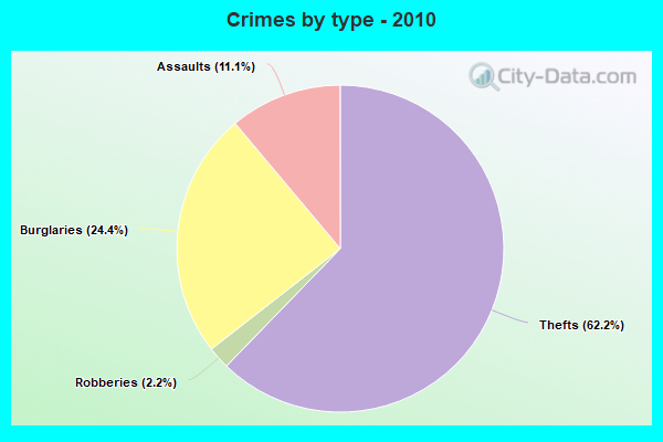 Crimes by type - 2010