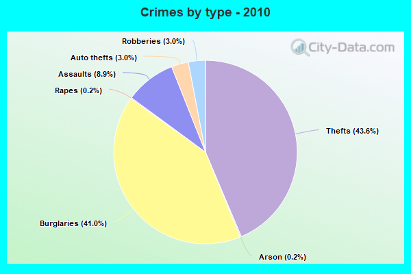 Crimes by type - 2010