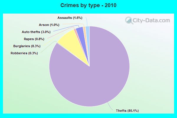 Crimes by type - 2010