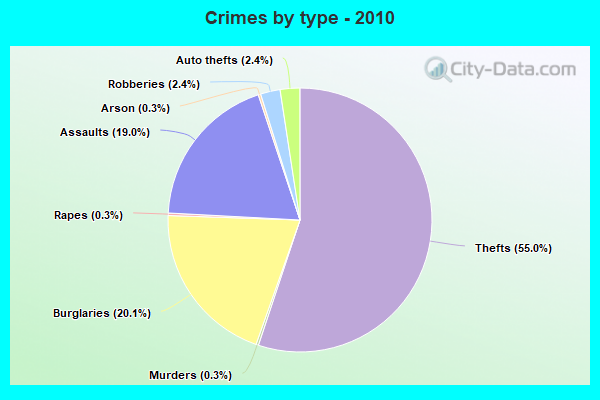 Crimes by type - 2010