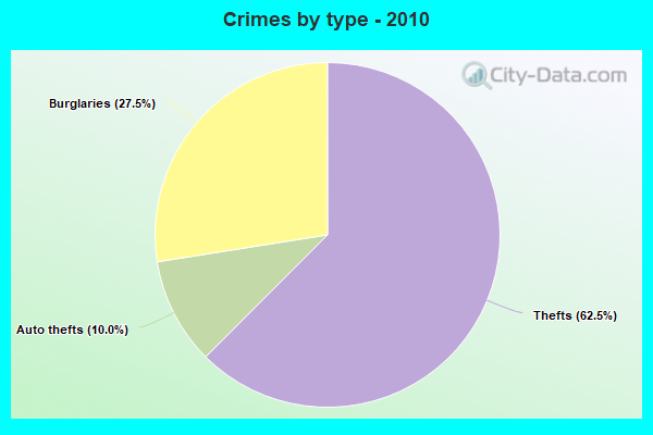 Crimes by type - 2010