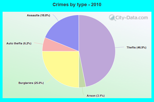 Crimes by type - 2010