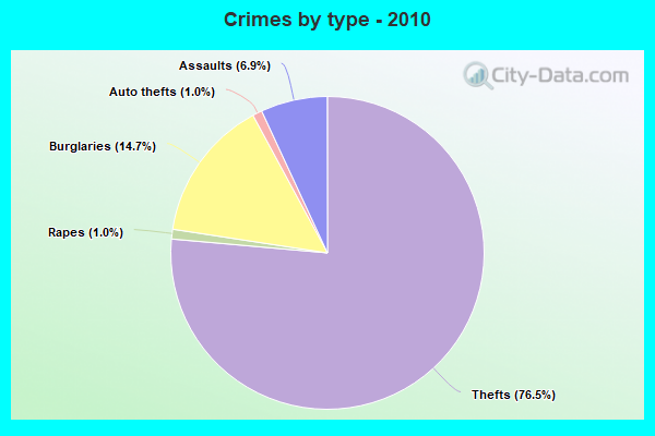 Crimes by type - 2010