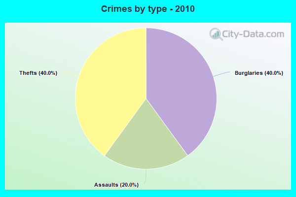 Crimes by type - 2010