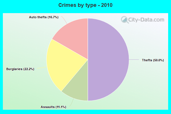 Crimes by type - 2010