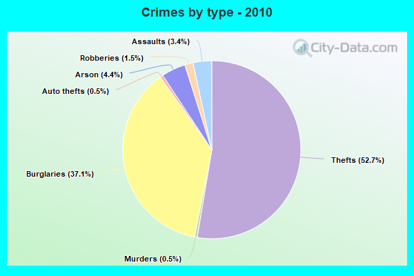 Crimes by type - 2010