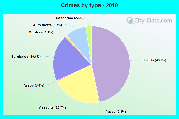 Crimes by type - 2010